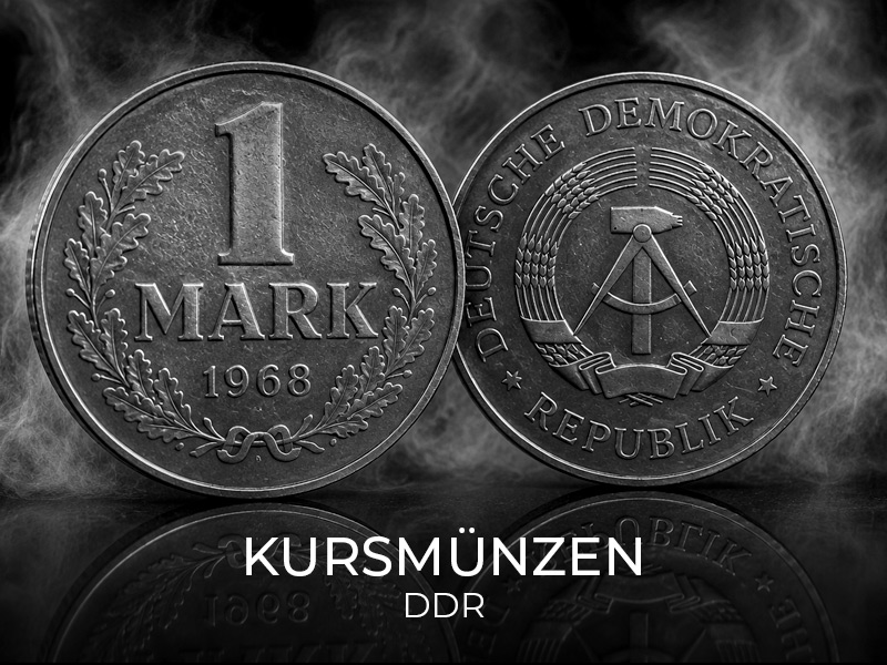 Close-up of a silver 5 Deutsche Mark coin featuring an eagle, commemorating BRD Münzen 1949–2001 (Germany).